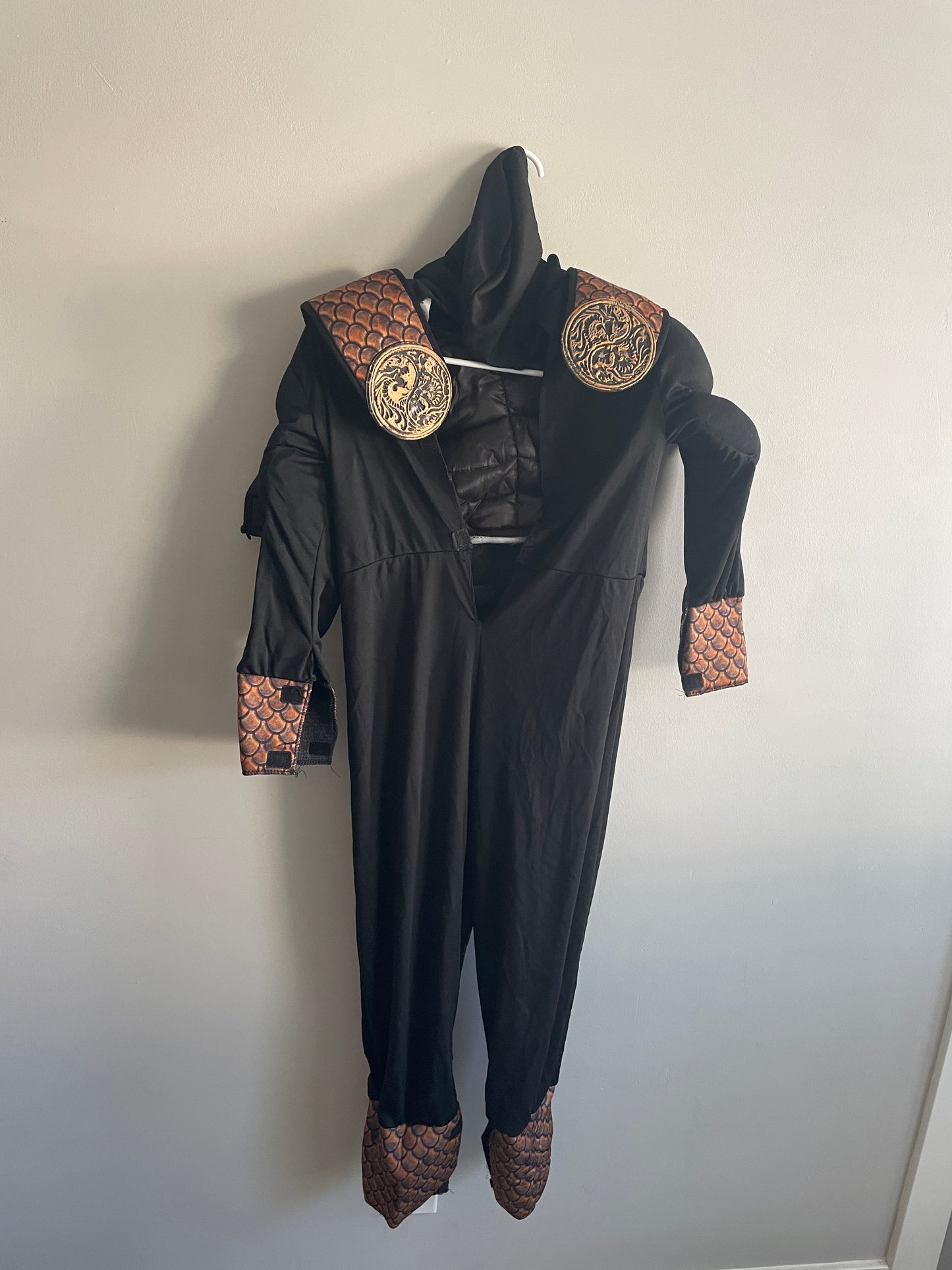 Fearless Force Ninja