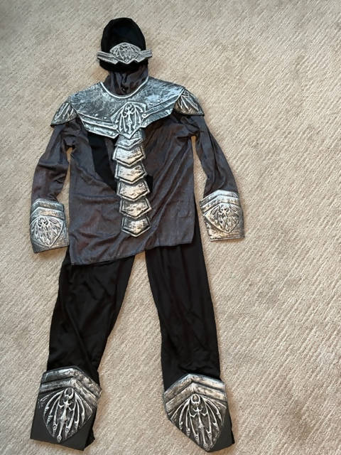 Armored Ninja