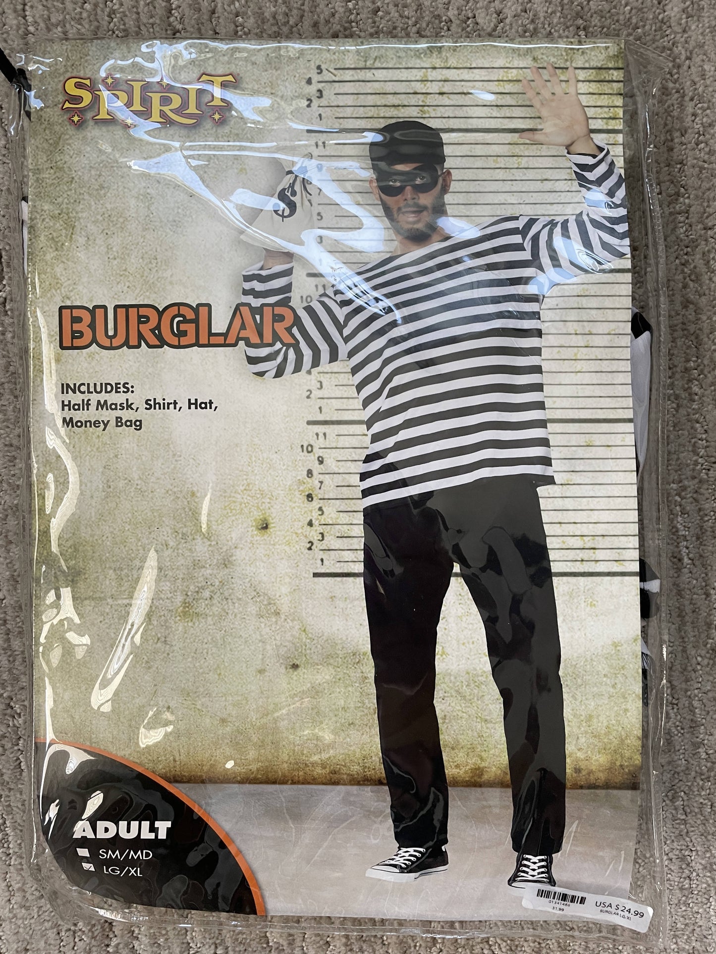 Burglar