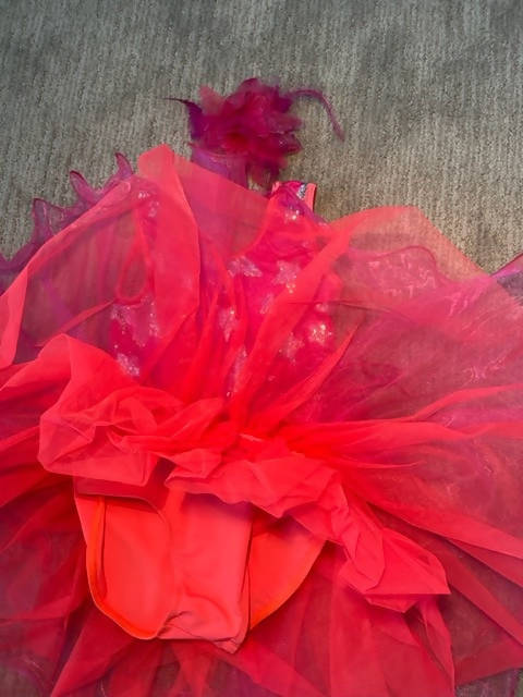 Shining Star in fuschia by Weissman