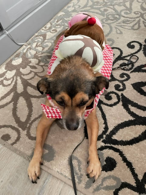 Ice Cream Sundae (2 available)