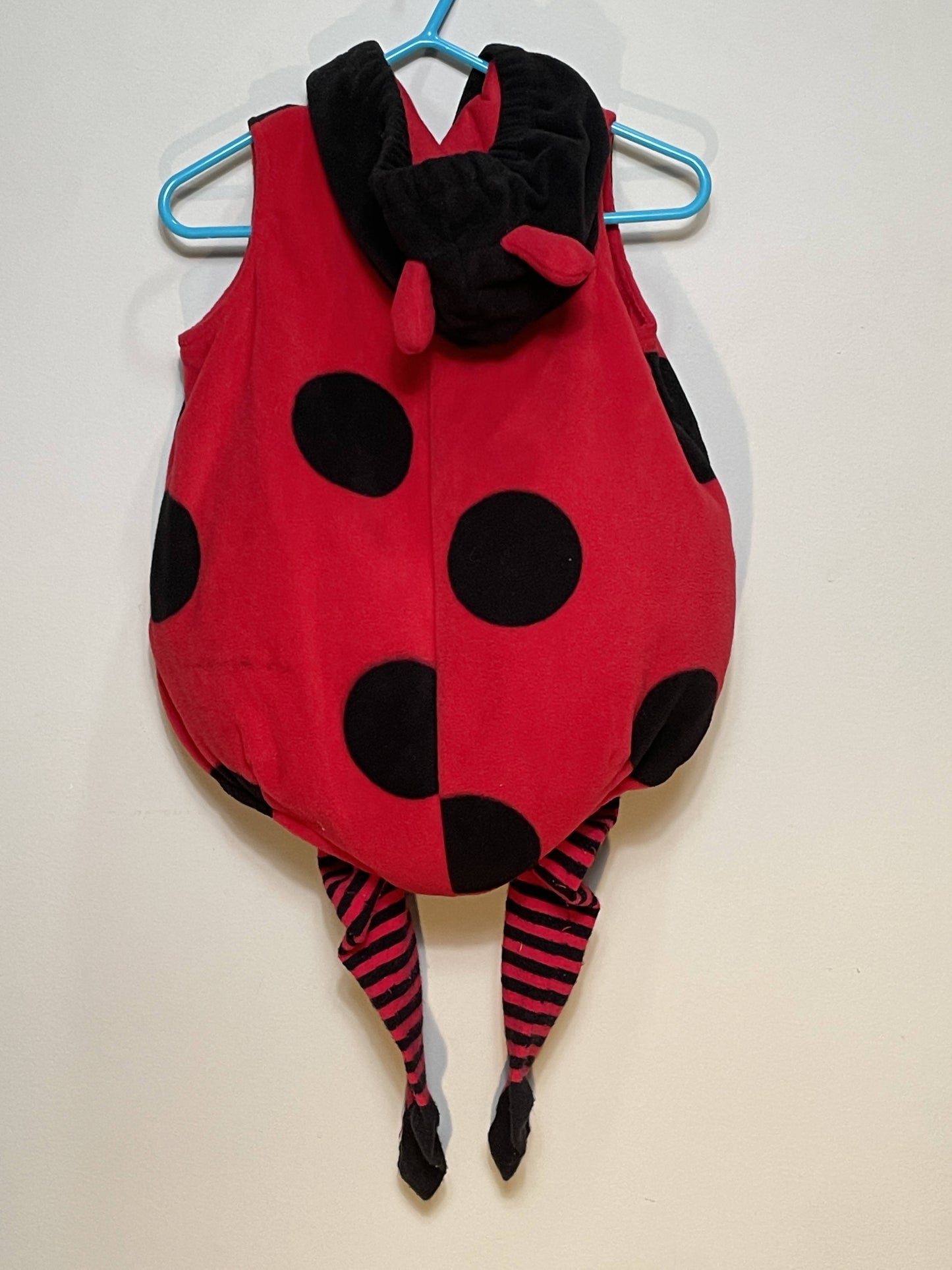 Ladybug set