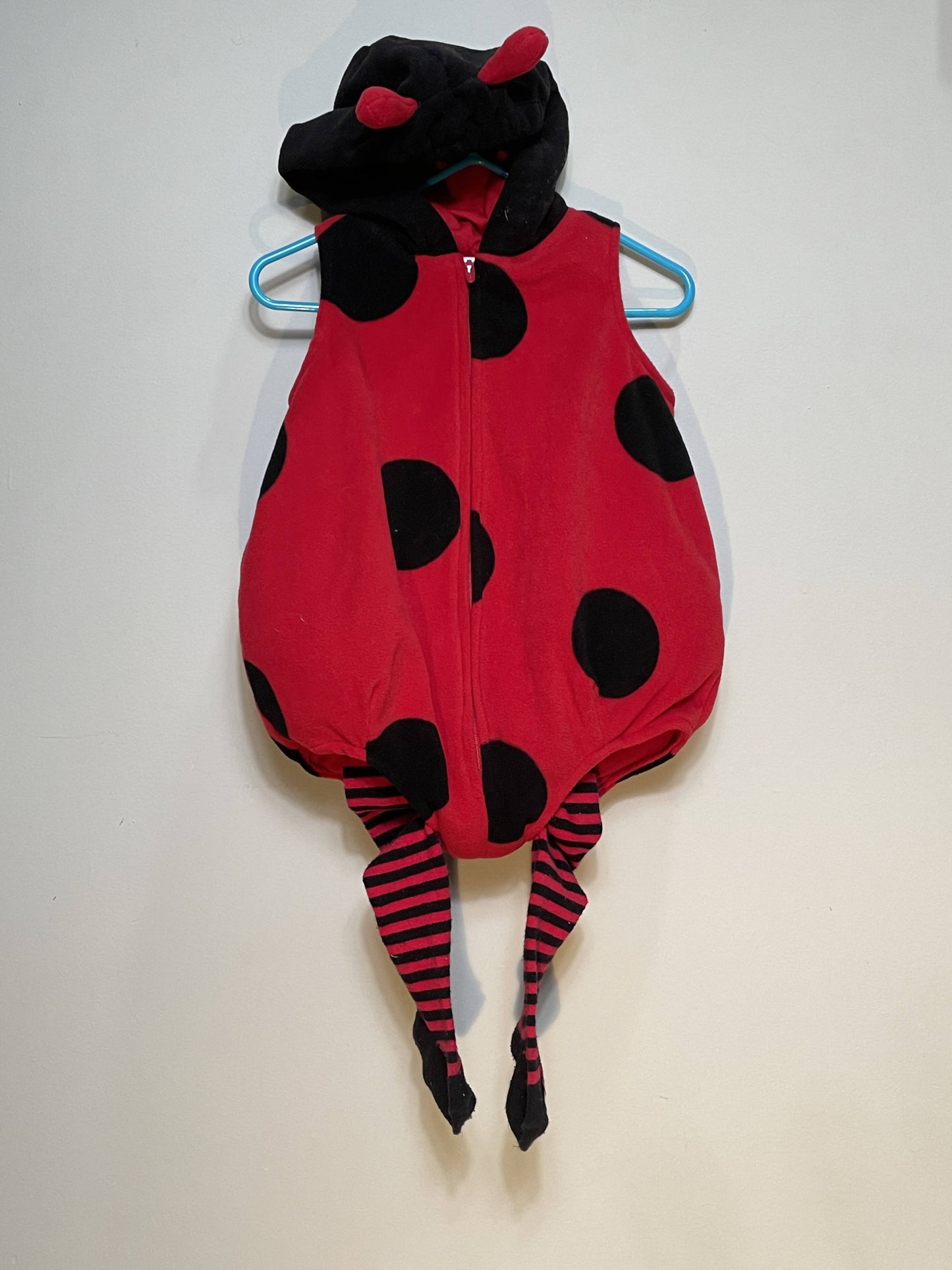 Ladybug set